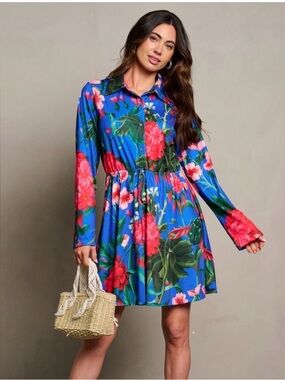NWT Blue Floral Button-Front Dress
